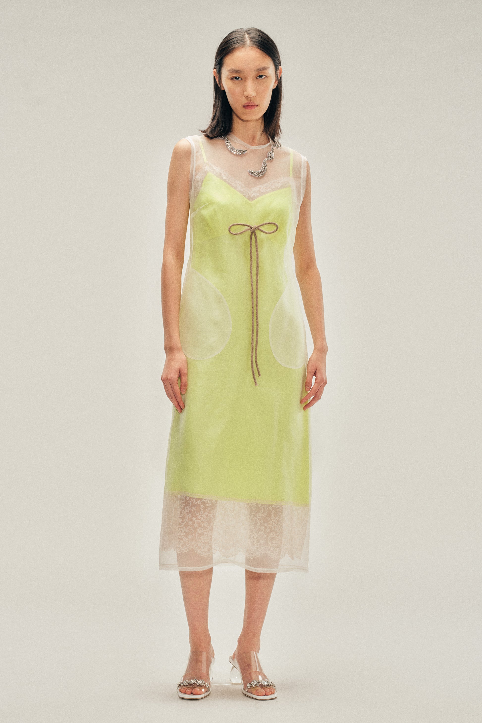 Embellished Sheer Frayed Contour Dart Dress – Simone Rocha
