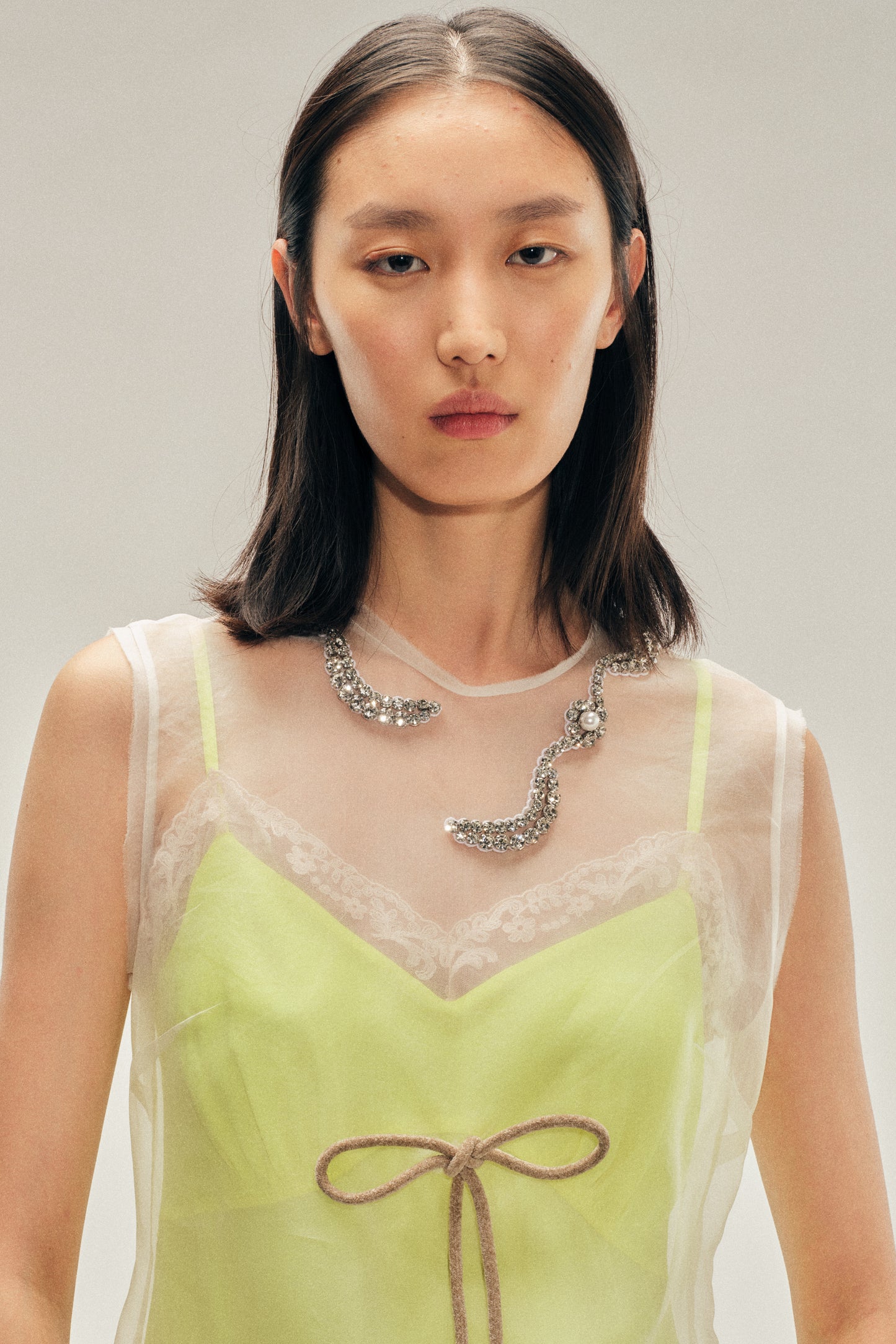 Embellished Sheer Frayed Contour Dart Dress