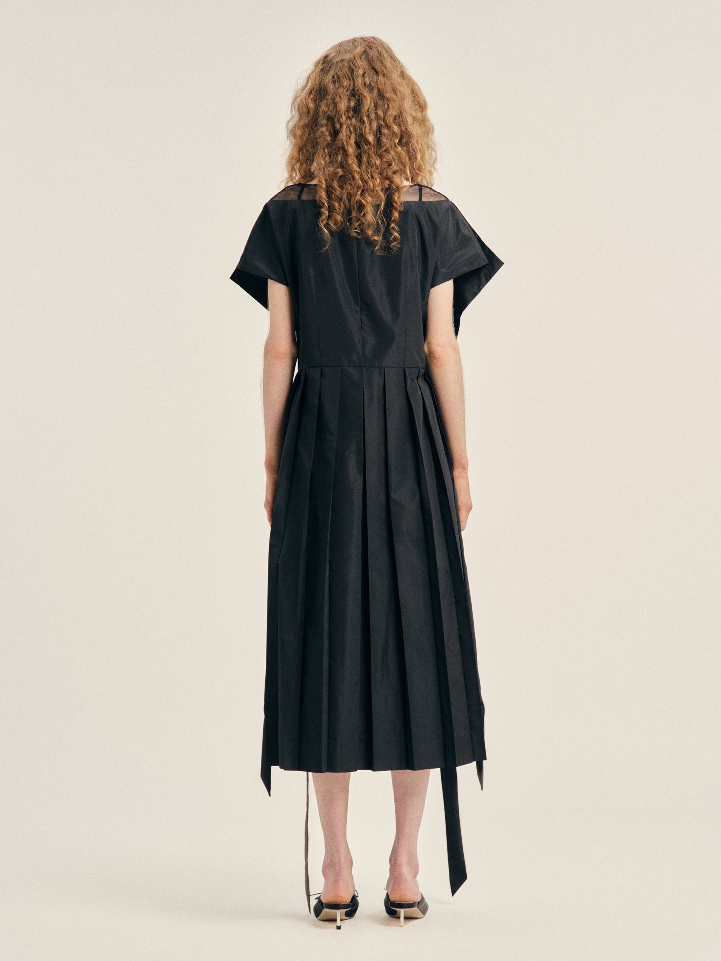 Pleated Sheer Panel Flare Dress